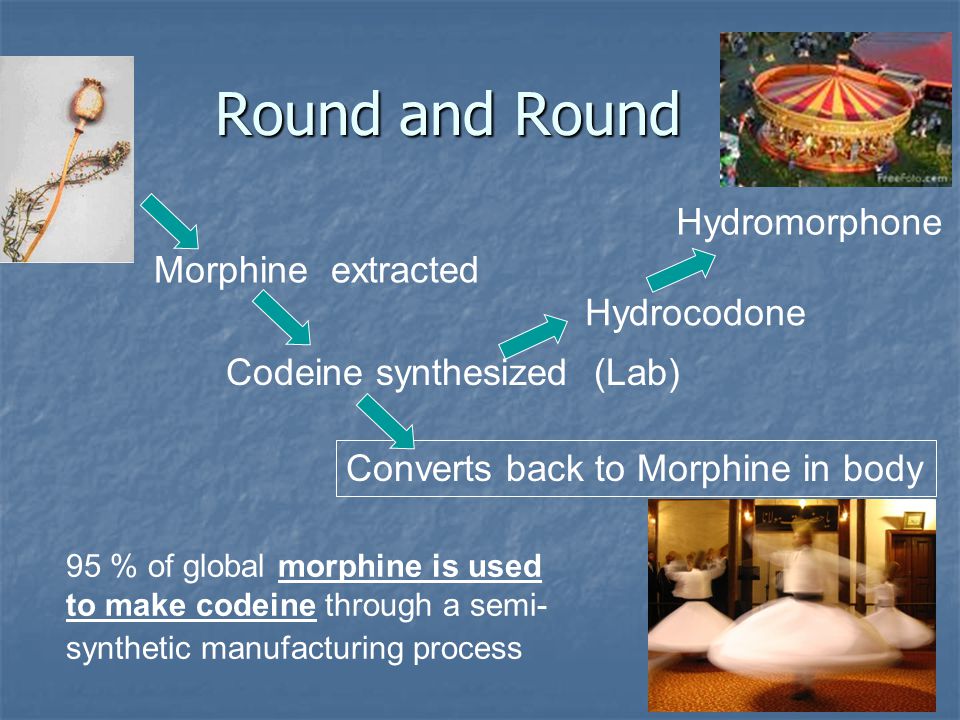 codeine turns into morphine